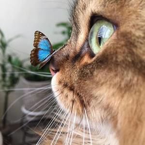 Meet your Posher, Ruby